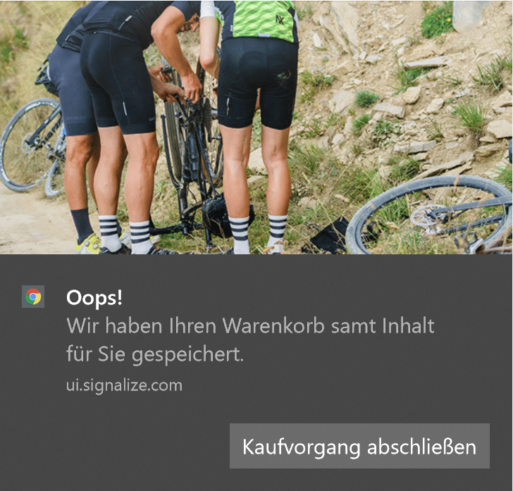 Erinnerung an Warenkorb