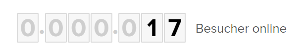 Im Dashboard findest du in Real Time die aktuelle Anzahl der Besucher deiner Website.